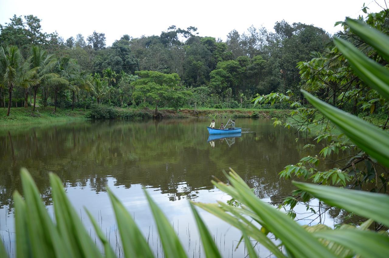 Leisure Homestay - Pool, Boating, Zipline, Home Food, Estate Chikmagalūr Eksteriør billede